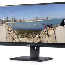 29" TFT Dell U2913WM "A-"